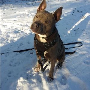 Meet your Posher, Irissol